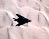 797013.jpg (25206 bytes)