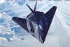 f117f.jpg (32168 bytes)